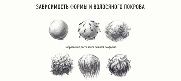 Как рисовать шерсть карандашом волос