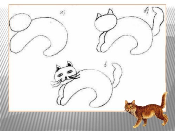 Рисование кошки в средней группе