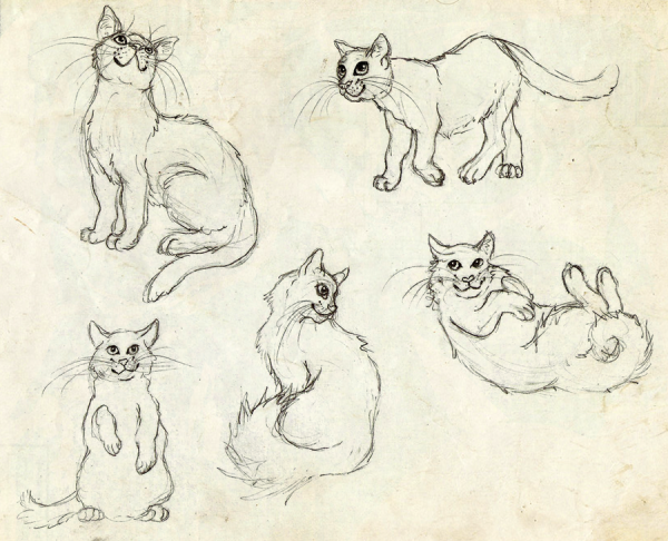 Наброски кошек в различных позах