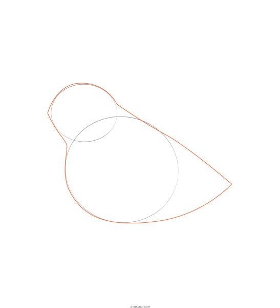 Поэтапное рисование синицы