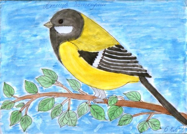 Рисование синички