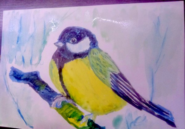 Рисование синицы