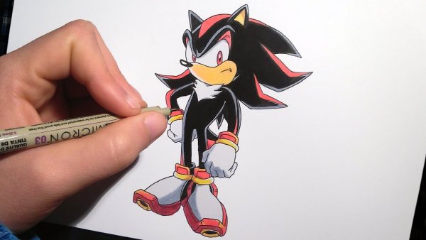 Ёжик Шедоу карандашами