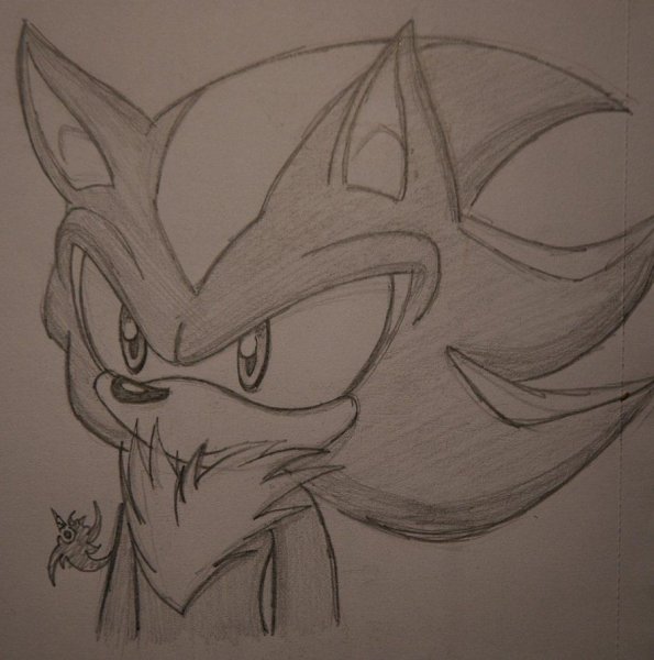 Шэдоу для срисовки карандашом