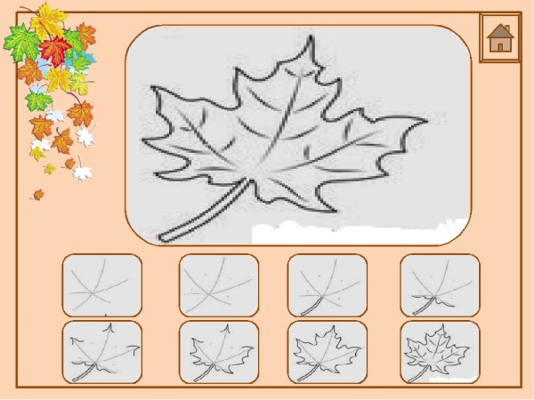 Лист клен для рисования