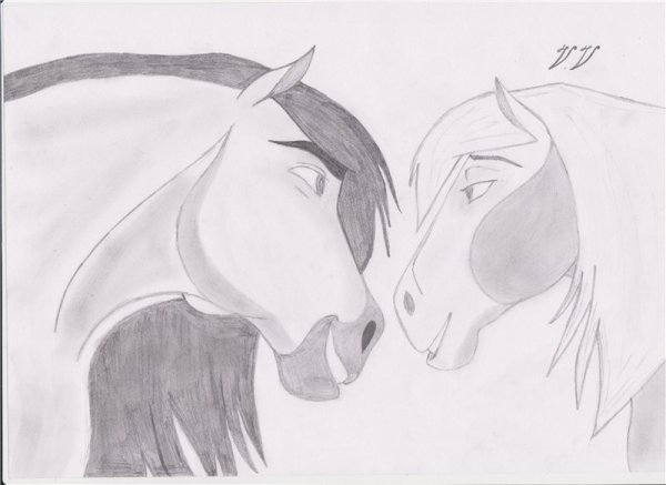 Рисунок лошади карандашом для срисовки
