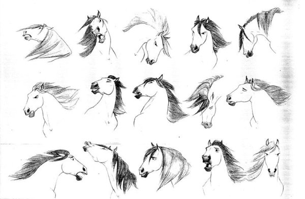 Спирит душа прерий Наброски