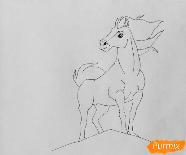 Спирит нарисовать поэтапно