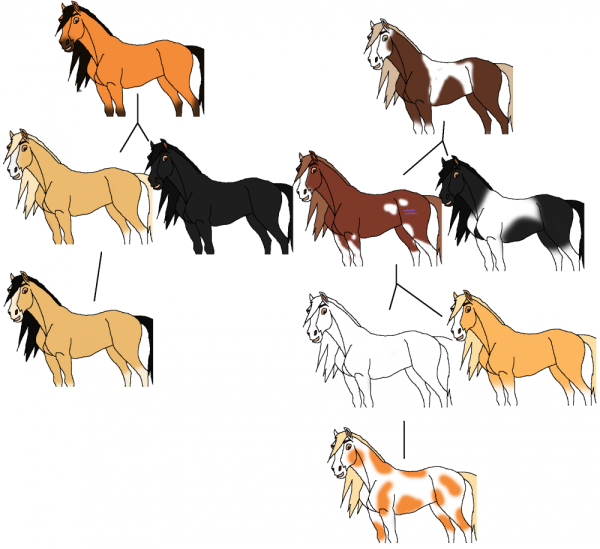 Спирит и его семья