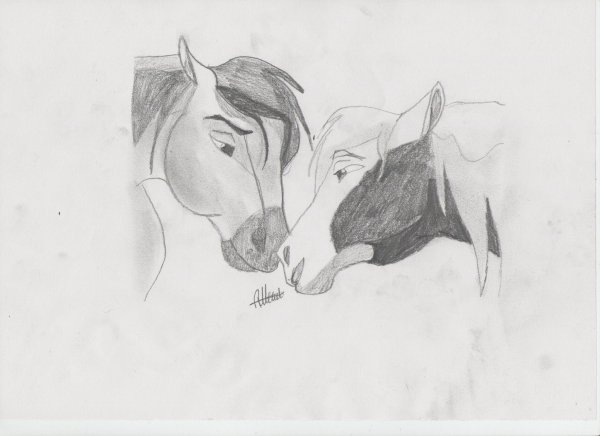 Спирит душа прерий Наброски