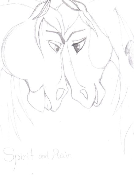 Спирит душа прерий Наброски