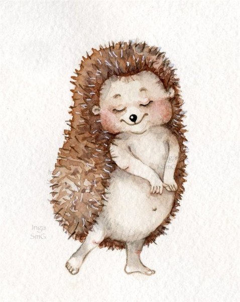 Акварельные ежики