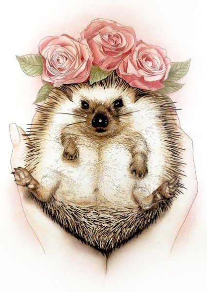 Милые иллюстрации животных