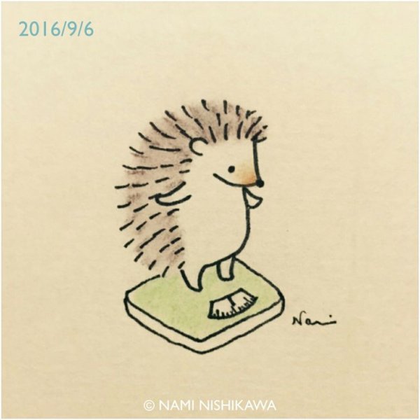 Ёжик для срисовки