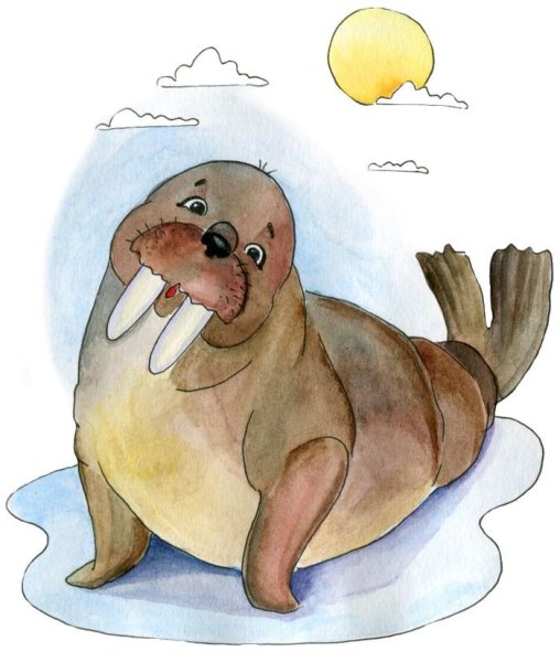 Морской котик иллюстрация