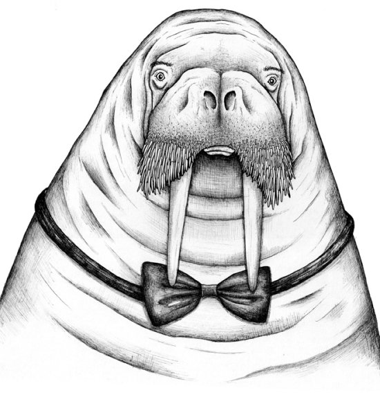 Нарисовать моржа