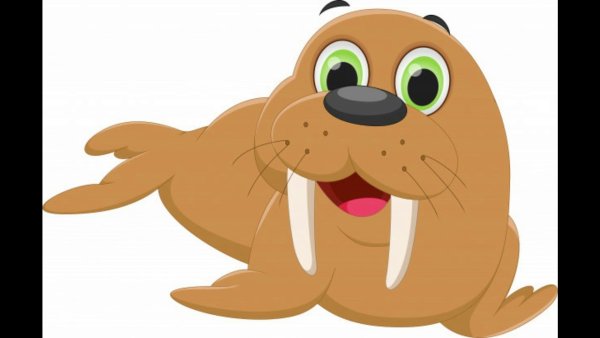 Морж мультяшка