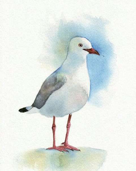 Чайки акварель
