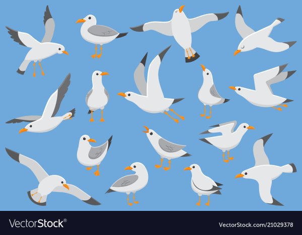 Чайка детская вектор