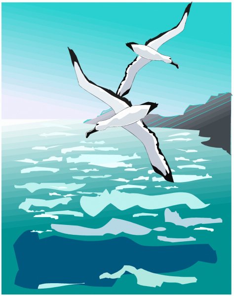 Рисование Чайки