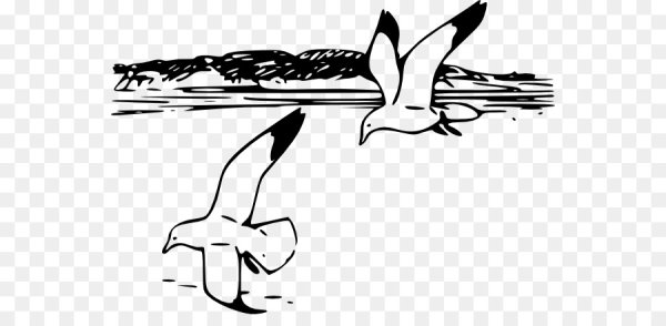 Графический рисунок Чайки