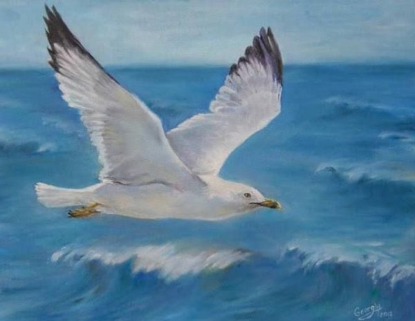 Морские птицы живопись