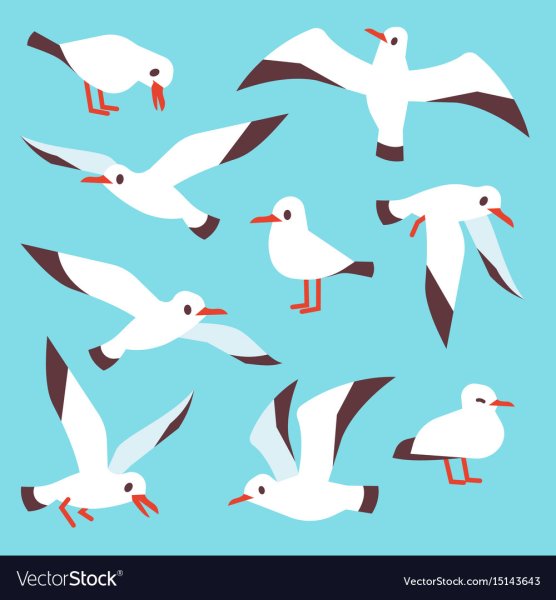 Чайка стилизация