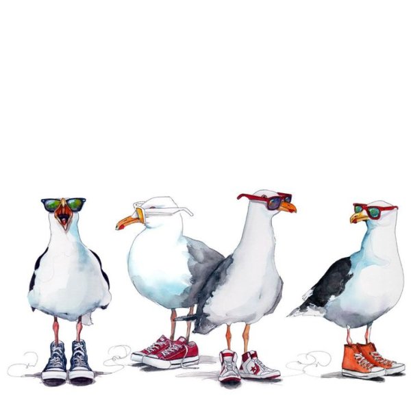 Чайки прикольные иллюстрации