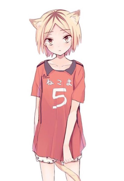 Козуме Кенма др