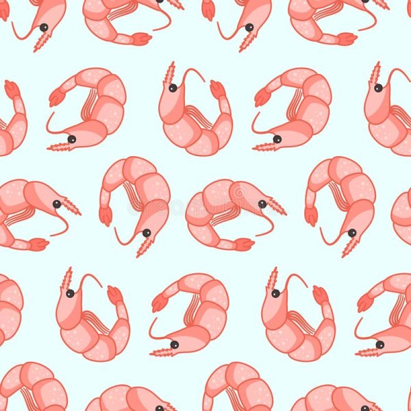 Креветка из тик тока