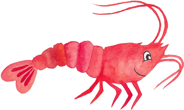 Креветка вектор