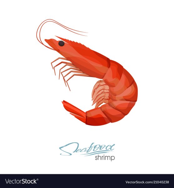 Креветка карандашом