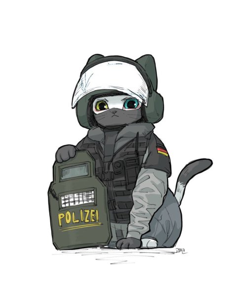 R6 Siege кот арт