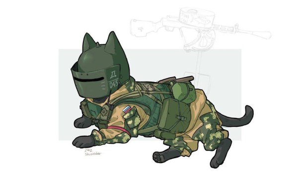 R6 Siege котики