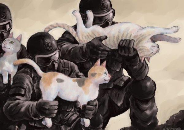 Кот спецназовец