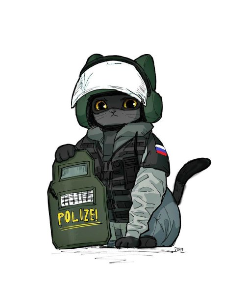 Rainbow Six Siege Fuze в ушанке