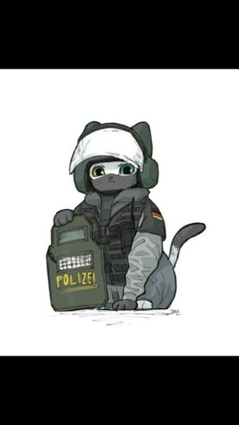 ОМОН С котиками