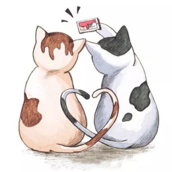 Влюбленные коты