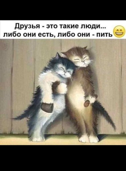 Два друга кота