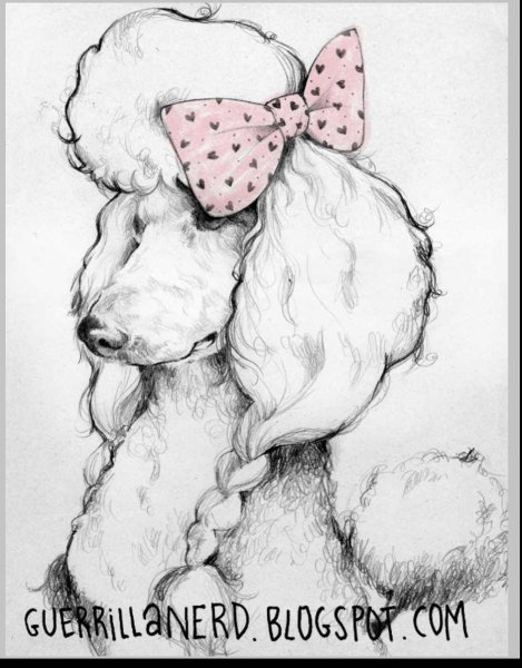 Пудель Графика