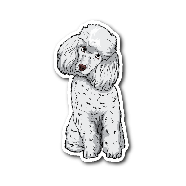 Наклейка собака пудель
