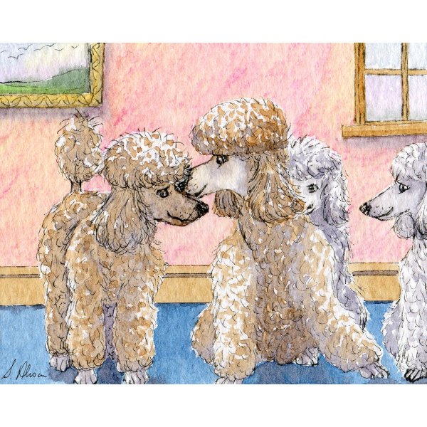 Открытки с пуделями