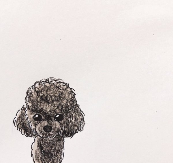 Пудель в мультяшном стиле