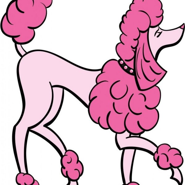 Мультяшные Пудели