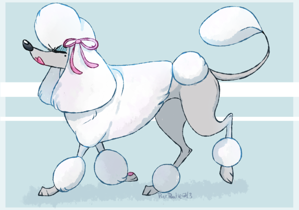 Рисование пуделя