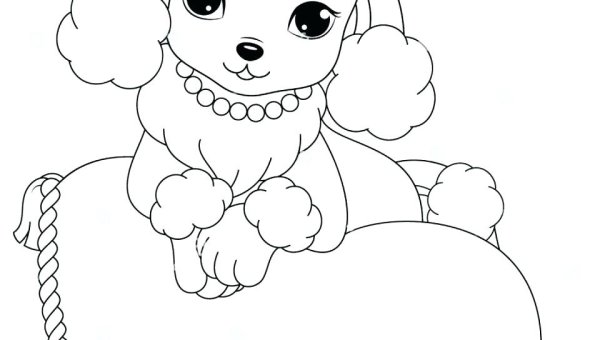 Раскраска собака пудель