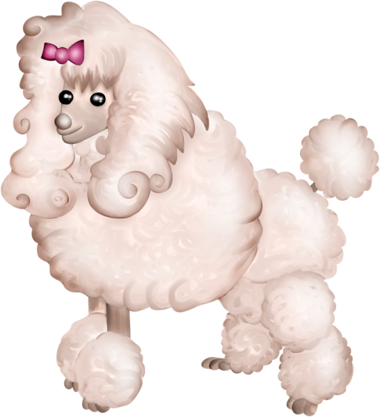 Пудель на прозрачном фоне