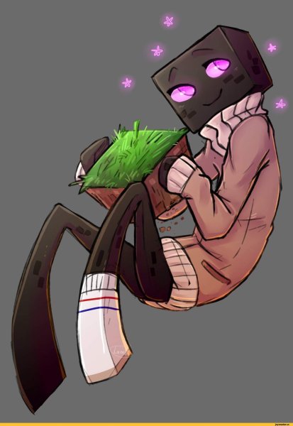 Minecraft Steve and Enderman