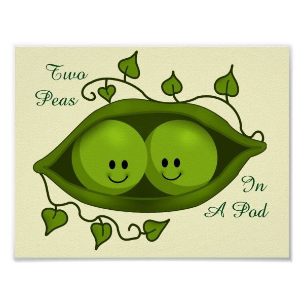 Две горошины в стручке