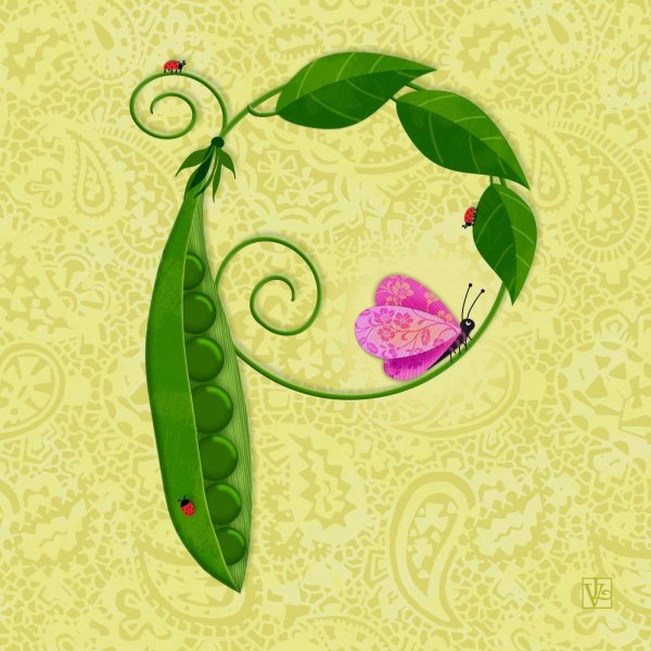 Горох в стручке живопись